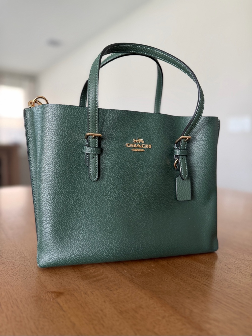 COACH Mollie 25 Tote Crossbody Bag Green Pebbled Leather C4084 Purple